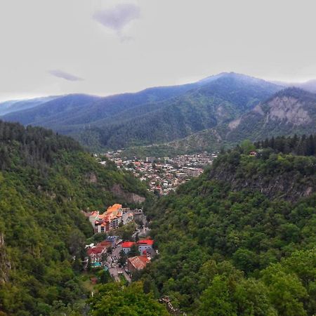 Parkside Apartment Borjomi ภายนอก รูปภาพ