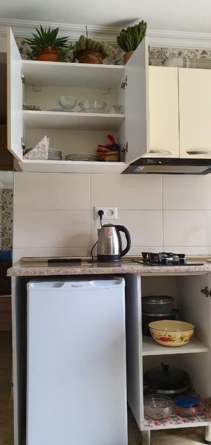 Parkside Apartment Borjomi ภายนอก รูปภาพ